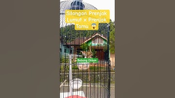 Prenjak HIBRID Nembak🔥Prenjak Lumut x Prenjak Tamu🔥#prenjakbawah#prenjakatas#prenjakgacor#prenjakjos