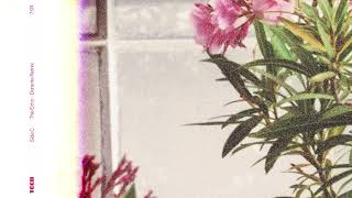 TEED - The Echo (Durante Remix) -  TEED