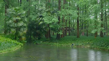 The beautiful little lake is raining(154) , sleep, relax, meditate, study, work, ASMR