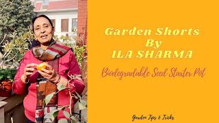 Garden Shorts By Ila Sharma - Orange Peel Biodegradable Seed Starter Pot