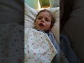 Часть первая/ Сказка/ Михасенок и все,все,все