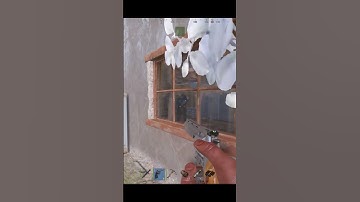 When You Meet A Rust Gamer Girl #gamergirl #rust #toxic #shorts