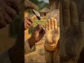 ##the#bestwood and#beautiful #likeforlikes #comments #saresankatkoharneganeshnikale #subscrib