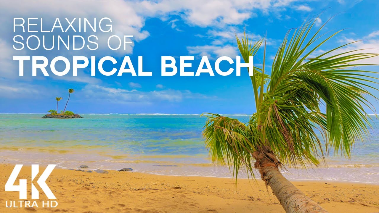 8 HOURS Relaxing Ocean Waves Sounds to Sleep  Study and Chill - 4K Tropical Beach