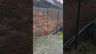 Heavy rain sound #asmr #nature #lifeisbutadream #rain #heavyrain #goodsleep