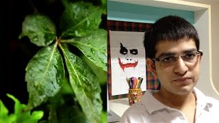 The Artificial Leaf: Explained!