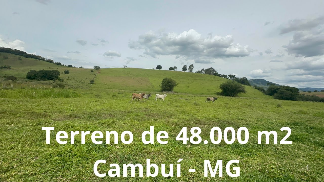 Com um PLATÔ Natural e uma BAIXADA com 3 ÁGUAS - Ideal para QUEM deseja CONSTRUIR sua Chácara em MG.