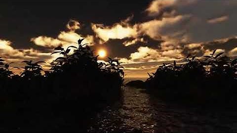 تلاوه من سورة يوسف.روعه جدا للقارئ وليد الوصابي.