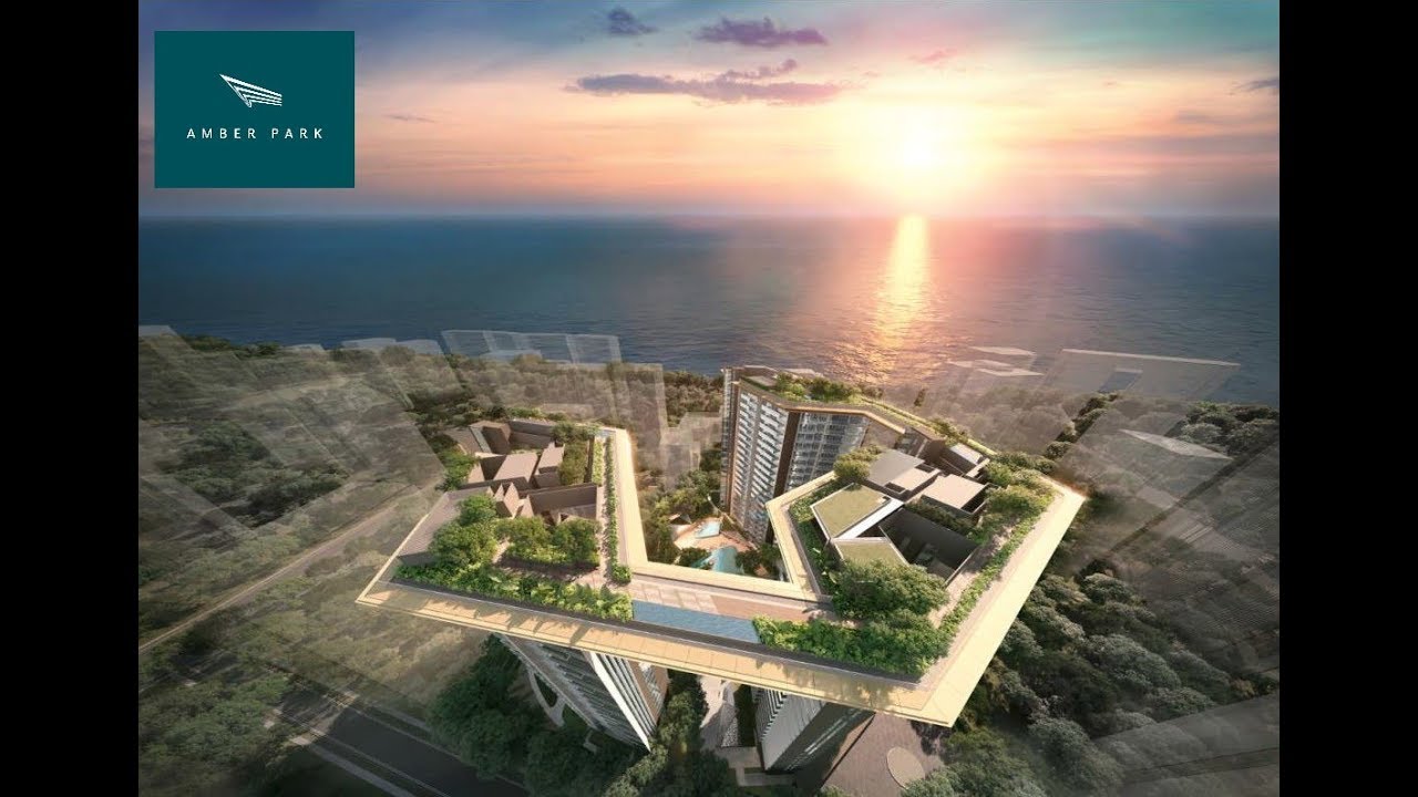 Why Is Amber park So Popular Right Now? Amber Park  Video