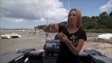 Baiting Up Running Sinker Rig