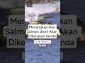 Menangkap Ikan Salmon disini Akan Dikenakan Denda