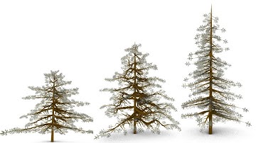 Parametric Trees