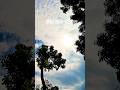 প্রকৃতির অপরূপ দৃশ্য 😊 #shortvideo #newsong #weather