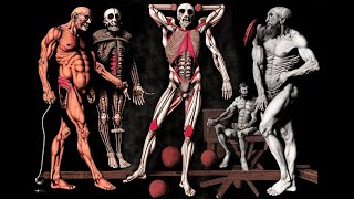 Harlem Shake! Grotesque's Anatomy