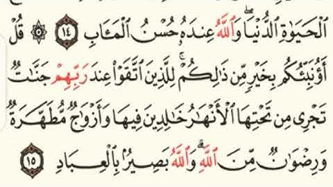 سورة أل عمران / تلاوة هادئه من الايه 13 - 19