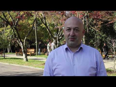 ბათუმის ბოტანიკურ ბაღში 45 ძირი ნეკერჩხალი დაირგო