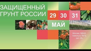 Выставка / Защищённый грунт России 2019 / ВДНХ / Инновации / Передовые Технологии / юмор