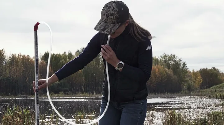 Understanding wetland hydrology