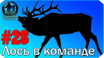 XCOM Enemy Unknown I/I #28: "Лось в команде"
