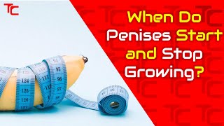When Do Penises Start and Stop Growing?