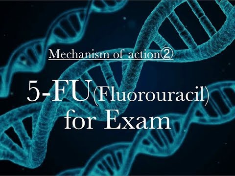 Video: Een Systematische Review En Meta-analyses Van Risicofactoren Geassocieerd Met Kreupelheid Bij Melkkoeien