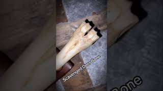 BONE-Handled Knights Dagger #knifelove #knife #medieval