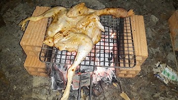 Trải nghiệm câu cá Đập Đá Bàn ban đêm | Ngự Vi Cá