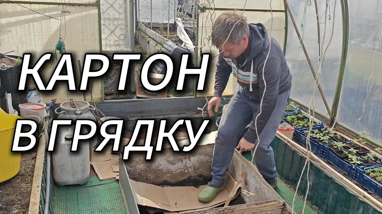 Теплая грядка, накрытая пленкой