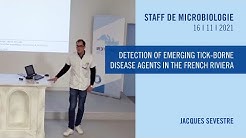 ihu mediterranee infection youtube
