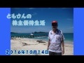 キングジムからの株主優待品 の動画、YouTube動画。