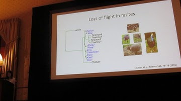 Hu: Bayesian model for detecting convergent rate changes of conserved noncoding elements