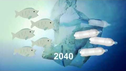 FUNDATION #80 - Global issue, local solution