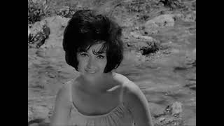 patricia carli - le roseau et la riviere  -1963
