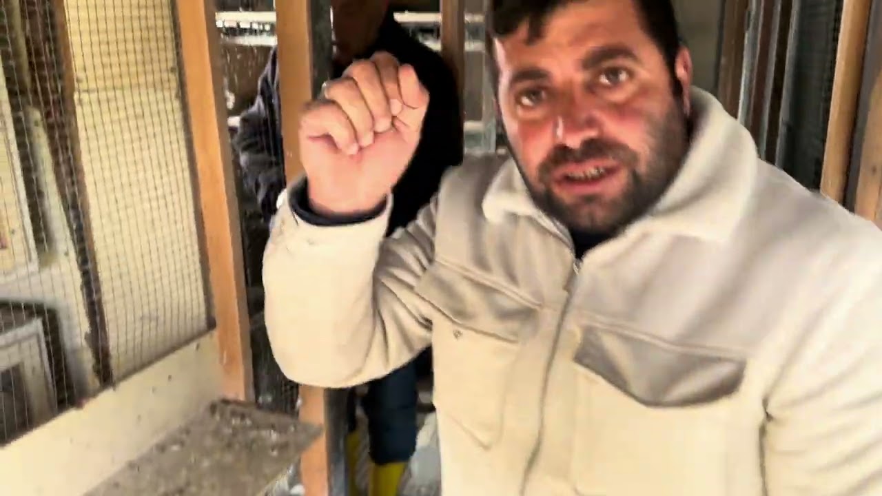 Oyun kuşunun piri faruk nezir abimin yıllardır emek verdiği sesli soluklu kuşları 