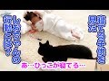 【喋る猫】寝てる子供を見たしおちゃんの行動【コソコソする】