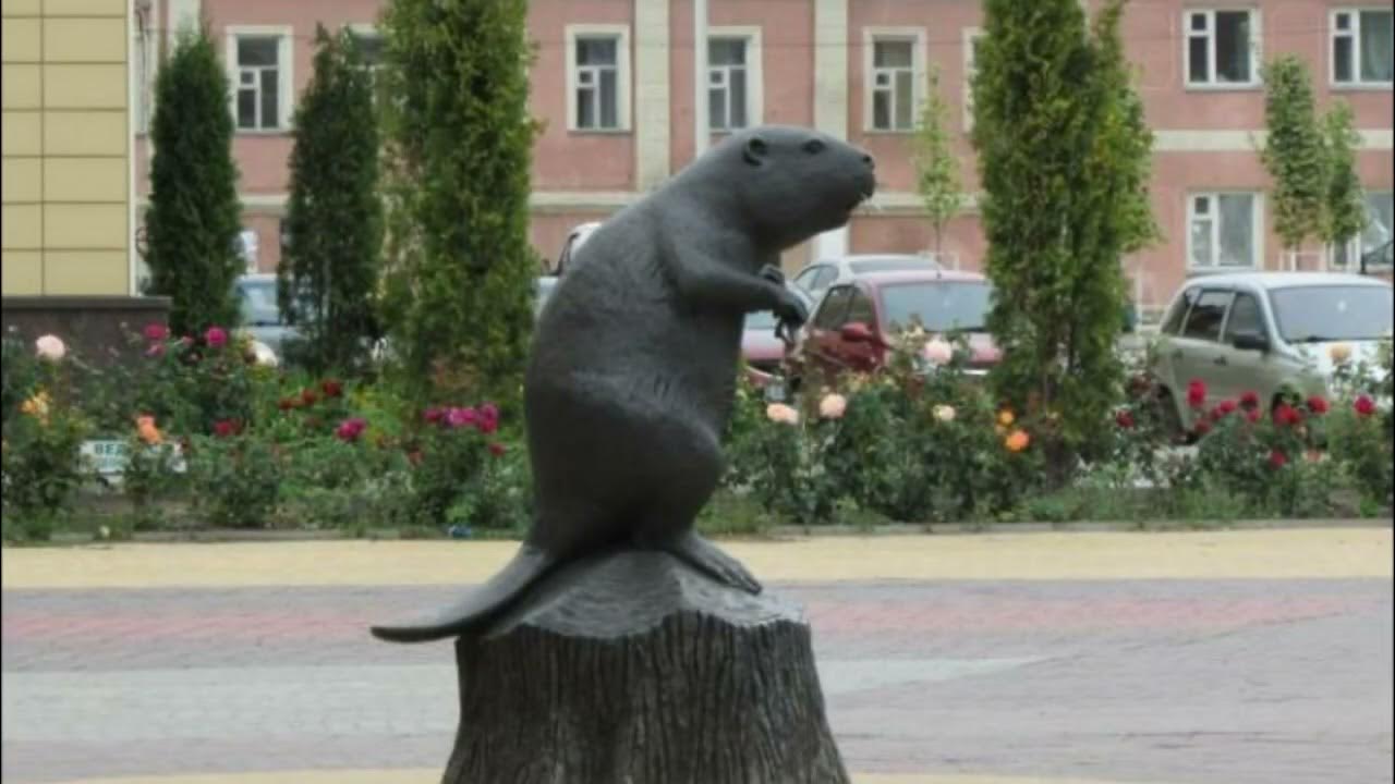 В г бобровым. В г бобровым. В г бобровым. В г бобровым. В г бобровым.