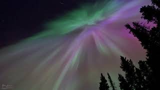Aurora Borealis Spectacular 4K (May 10,2024)