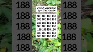 Genius Mistakeep.223 Skill Challenge