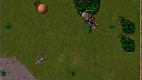 Tibia Bug (A real bug, not the monster "Bug")