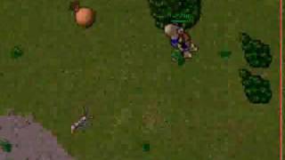 Famous Tibia Bug (A real bug, not the monster "Bug") Net Worth