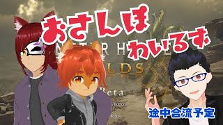 【#モンハンワイルズ 】PS5のベータテストでおさんぽ行く！！【#ひとRisらいぶ】