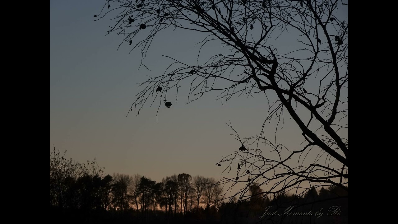 Hermann Hesse ~ Grauer Wintertag