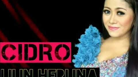 LILIN HERLINA CIDRO