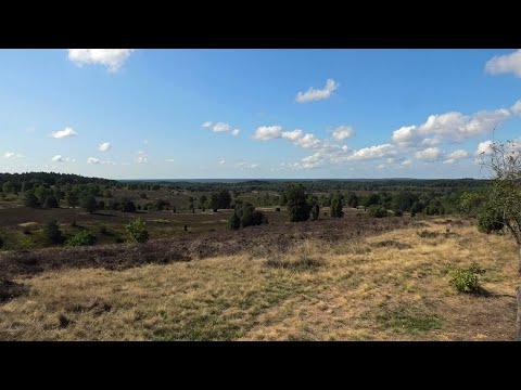 Lüneburger Heide / Lüneburg Heath (Germany) - A long hike from Handeloh to Schneverdingen