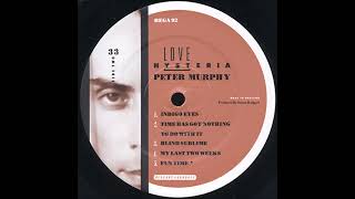 Peter Murphy – My Last Two Weeks