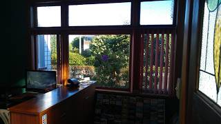 Redwood Lodge Motel Levin New Zealand Travel With Chitra