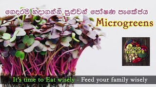 ගෙදරම හදාගන්න පුළුවන් පෝෂණ පැකේජය - “Microgreens” / Home made Nutrition Package