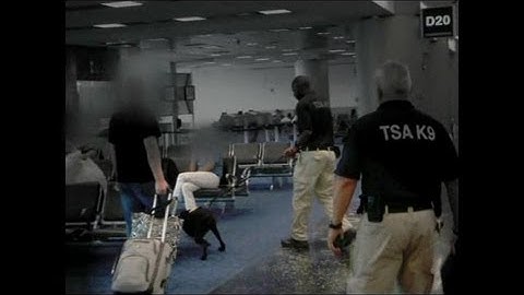 GAO: TSA