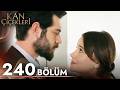 Kan Çiçekleri 240 Bölüm 
