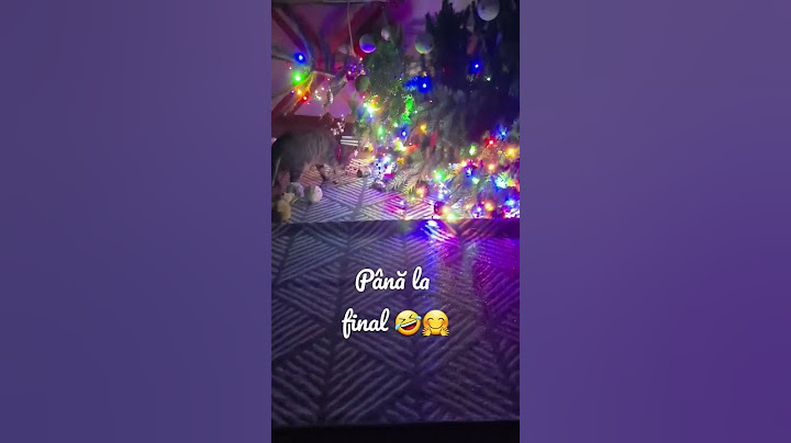Pisică VS Brad 🤣🙉 #funny #funnyvideo #viral #viralshort #video